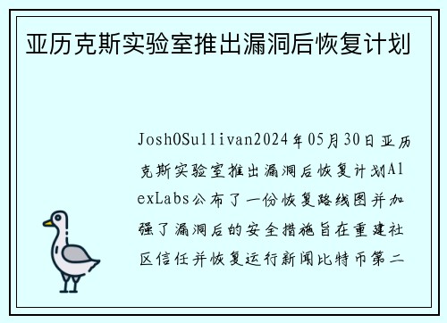 亚历克斯实验室推出漏洞后恢复计划 